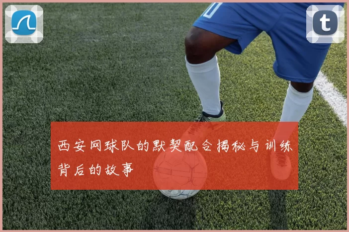 西安网球队的默契配合揭秘与训练背后的故事