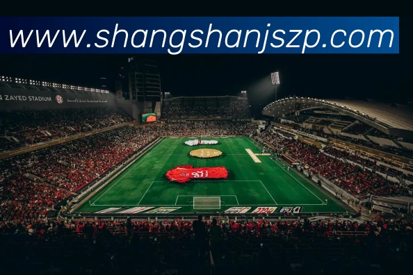 奖项1